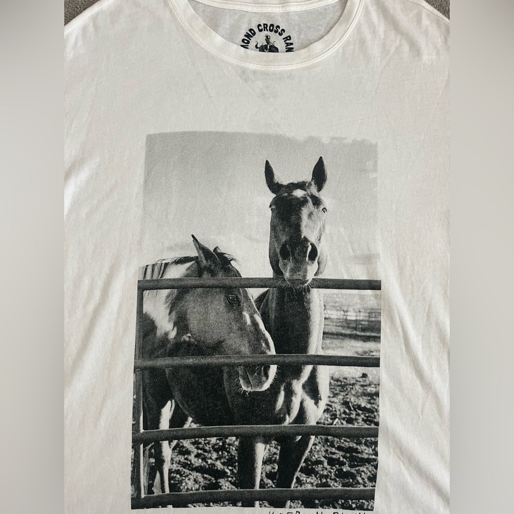 Z Supply Diamond Ranch Tee - Picture 9 of 9